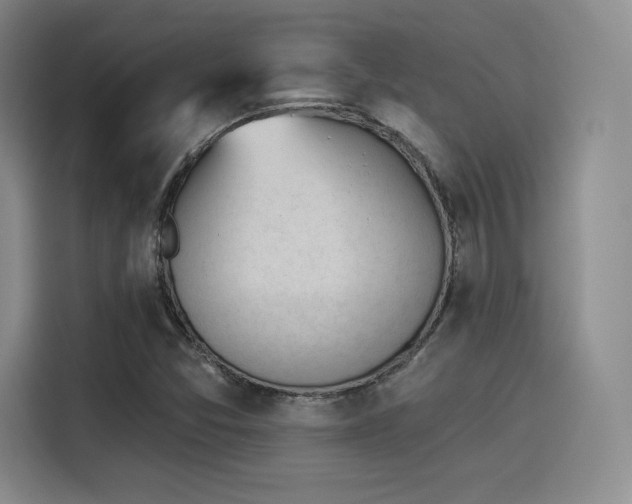 X0000114241357200910161624