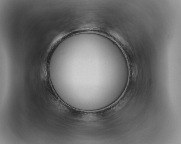 X0000114241358200910161624