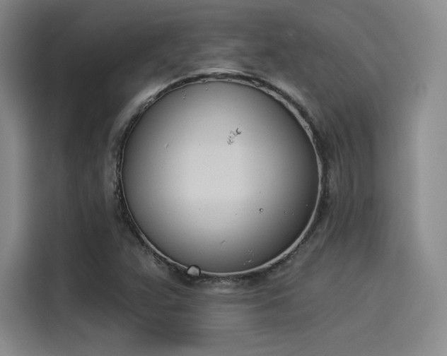 X0000114241359200910161624
