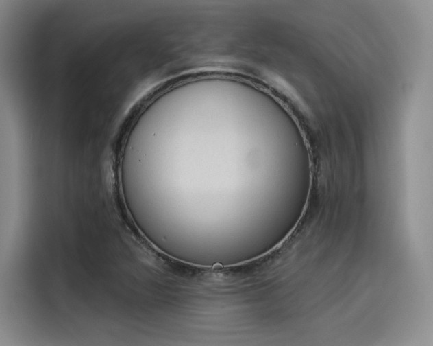 X0000114241360200910161624