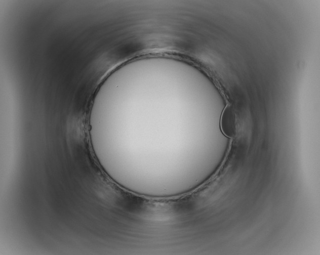 X0000114241361200910161624