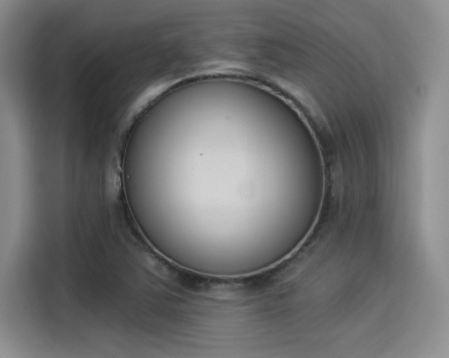 X0000114241363200910161624