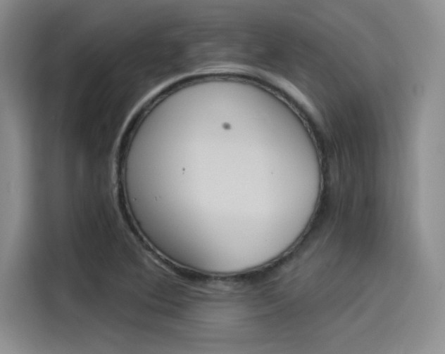 X0000114241364200910161624