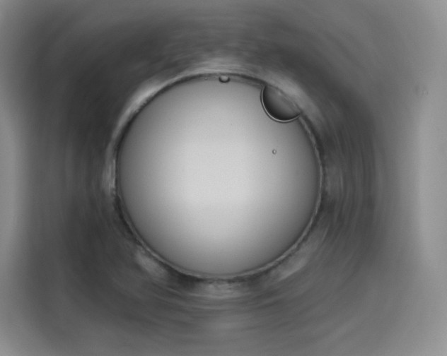 X0000114241366200910161624