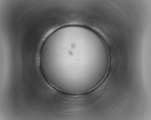 X0000114241367200910161624