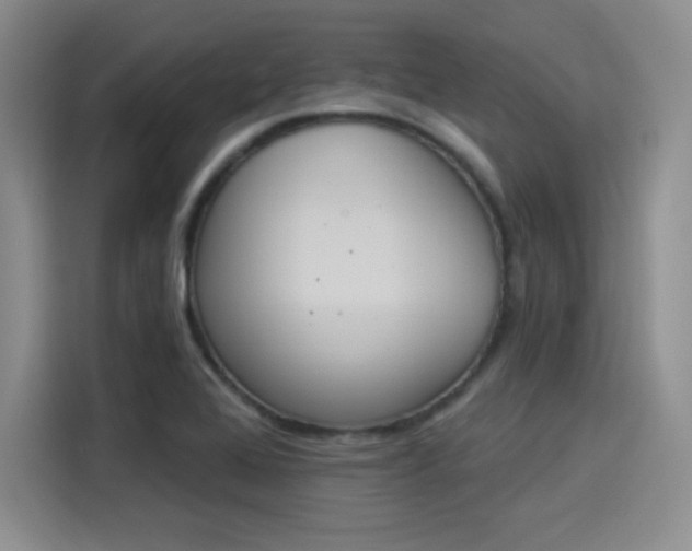 X0000114241368200910161624