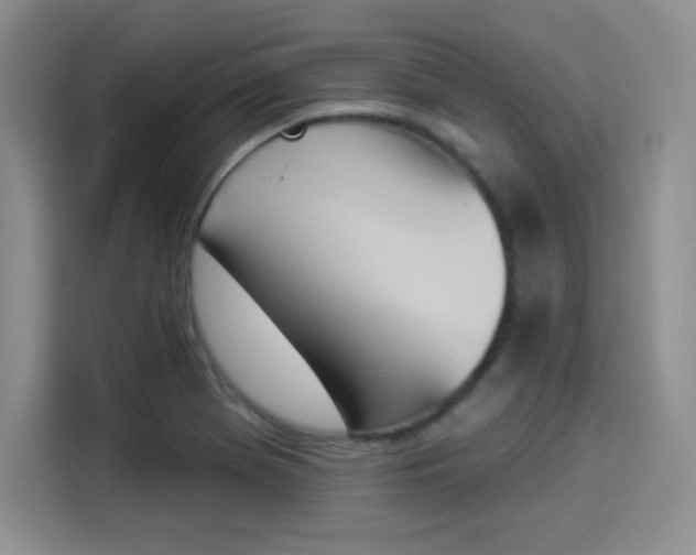 X0000114241369200910161624