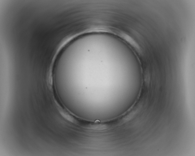 X0000114241372200910161624