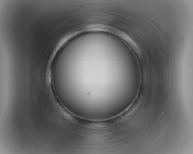 X0000114241376200910161624