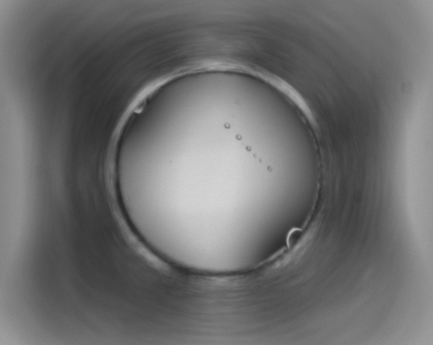 X0000114241381200910161623