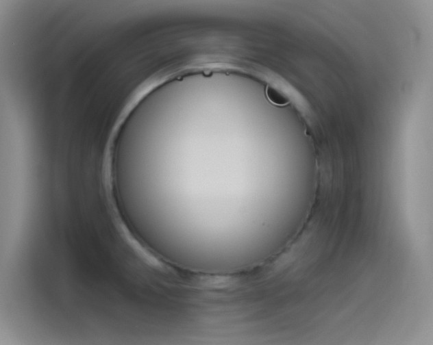 X0000114241382200910161623