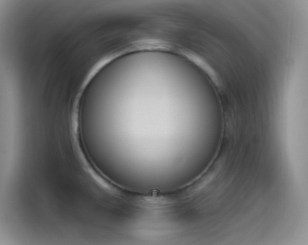 X0000114241383200910161623