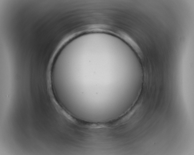 X0000114241384200910161623