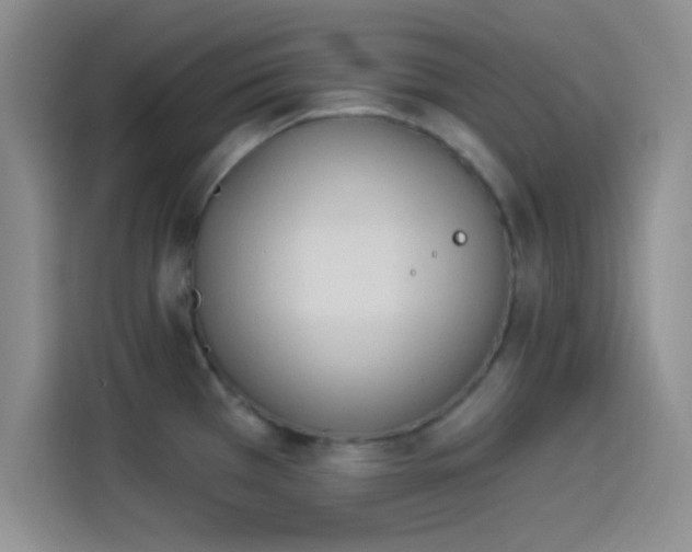 X0000114241385200910161623