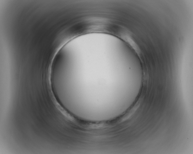 X0000114241386200910161623