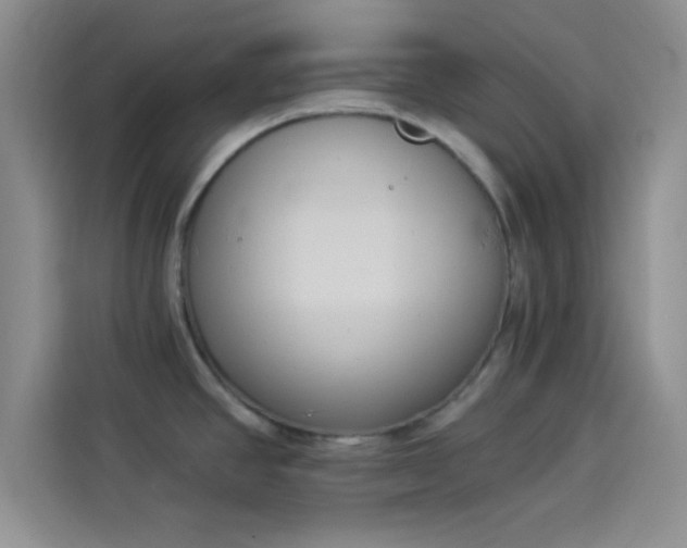 X0000114241390200910161623