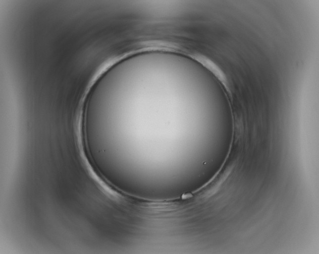X0000114241391200910161623