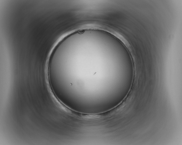 X0000114241392200910161623