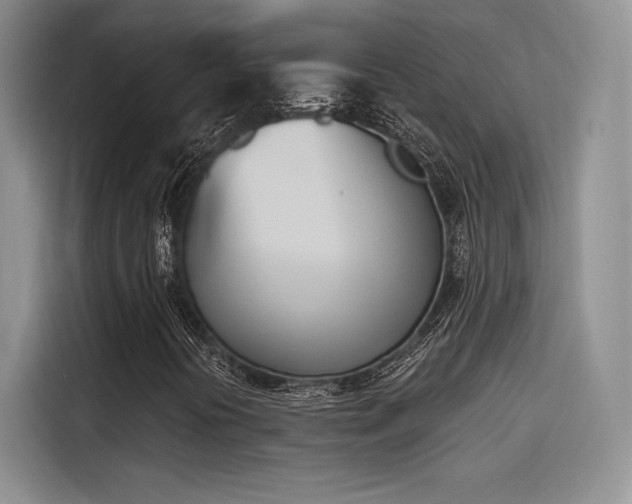 X0000114241394200910161623