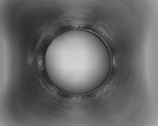 X0000114241396200910161623
