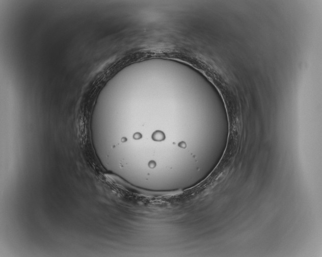 X0000114241398200910161623