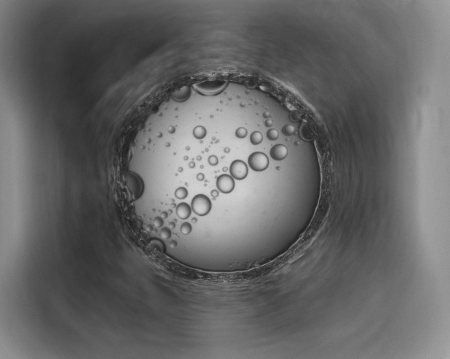 X0000114241399200910161623