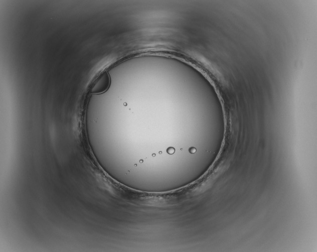 X0000114241405200910161623