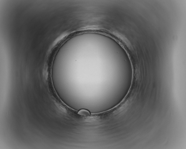 X0000114241406200910161623