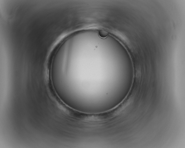 X0000114241414200910161623