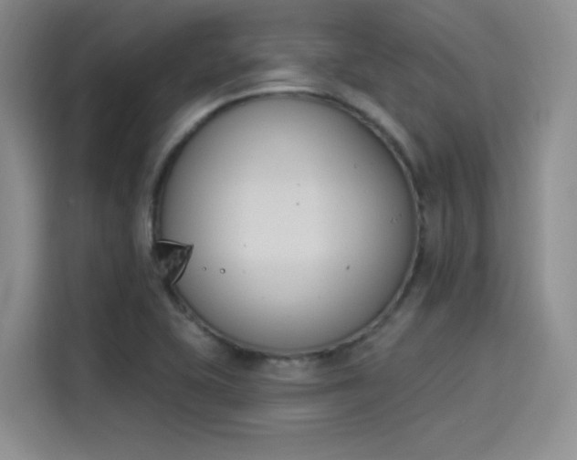 X0000114241415200910161623