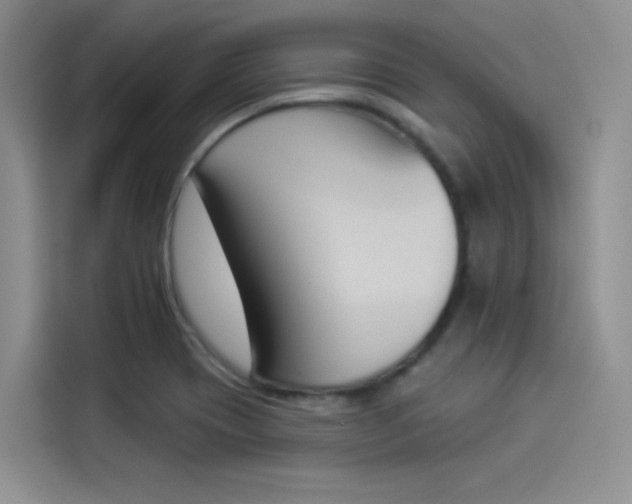 X0000114241417200910161623