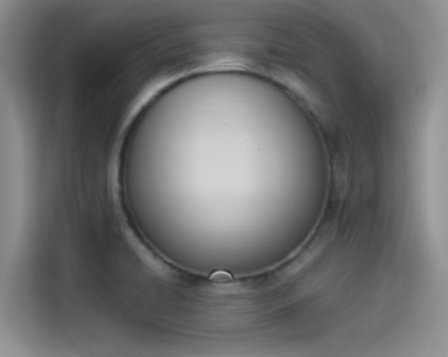 X0000114241422200910161623