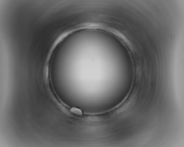 X0000114241424200910161623