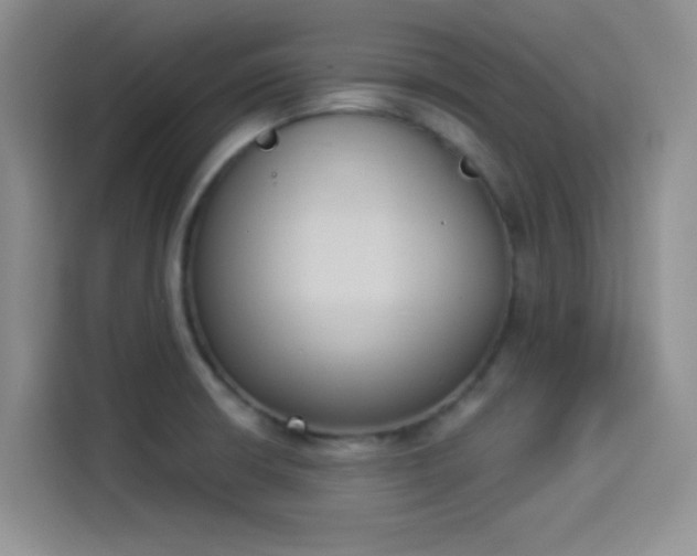 X0000114241426200910161623