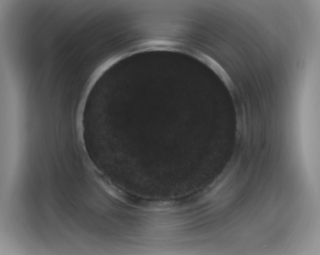 X0000114241435200910161623