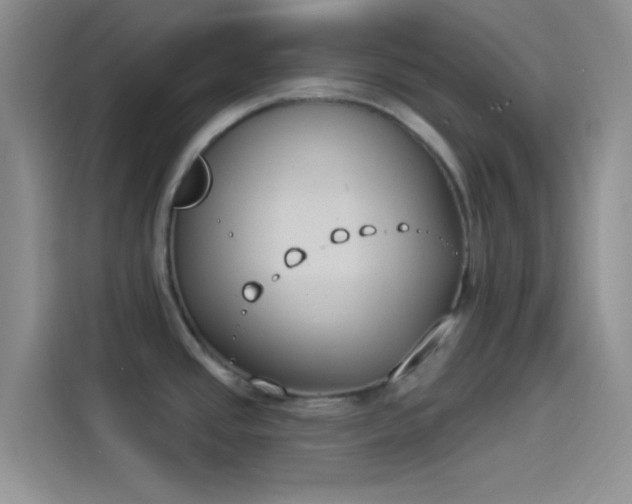 X0000114241437200910161623