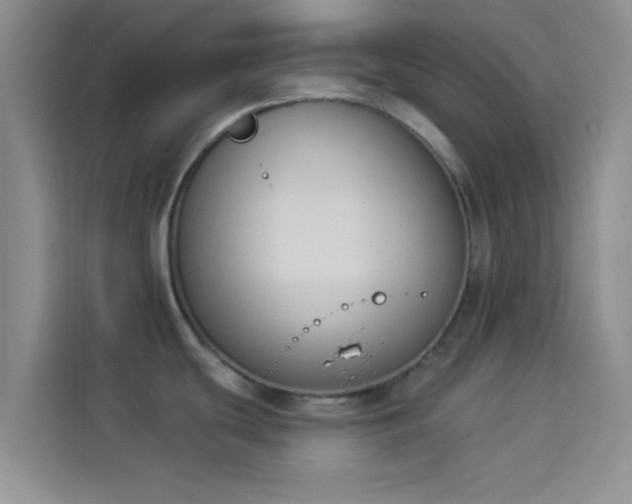 X0000114241439200910161623