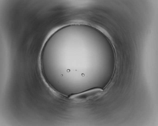 X0000114241440200910161623