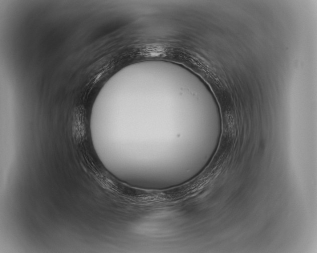 X0000114241442200910161623
