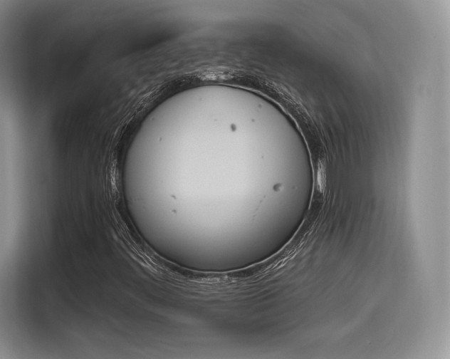 X0000114241444200910161623
