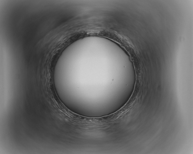 X0000114241445200910161623