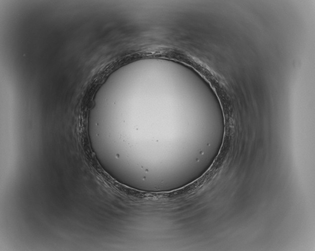 X0000114241447200910161623