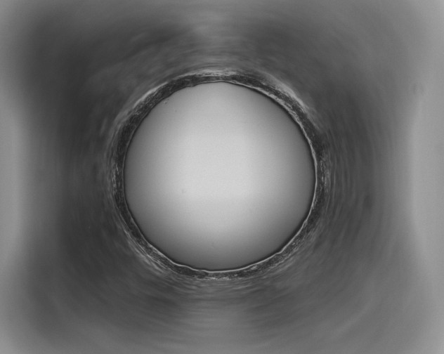 X0000114241448200910161623