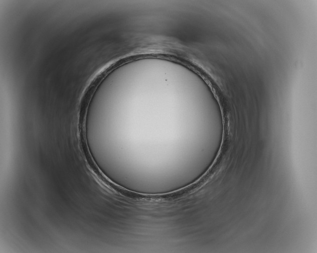 X0000114241452200910161623