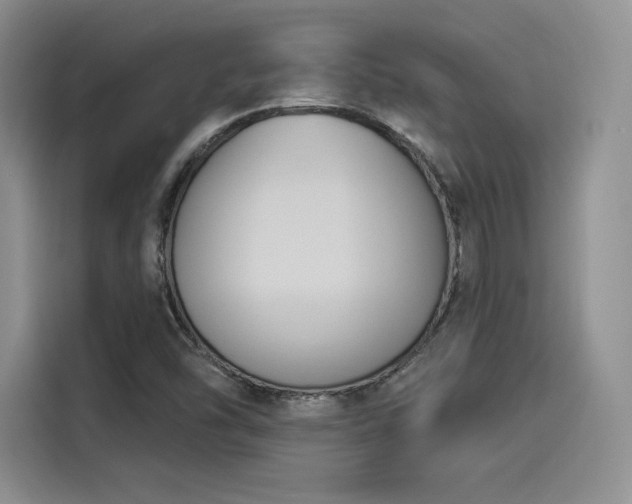 X0000114241454200910161622