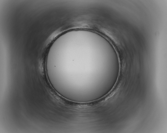X0000114241455200910161622