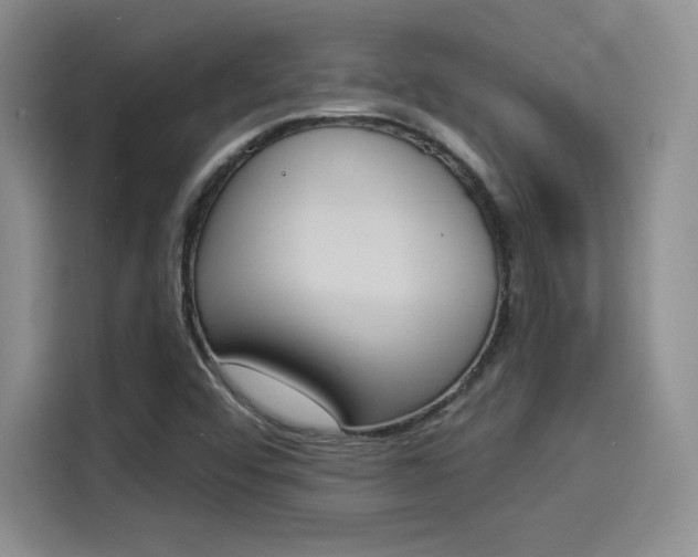 X0000114241456200910161622