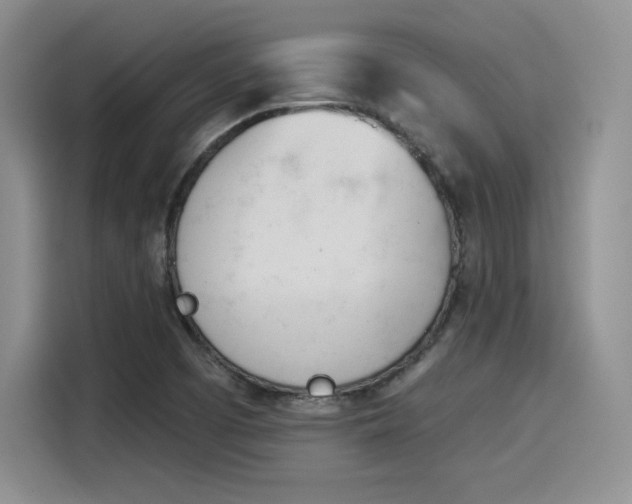 X0000114241457200910161622