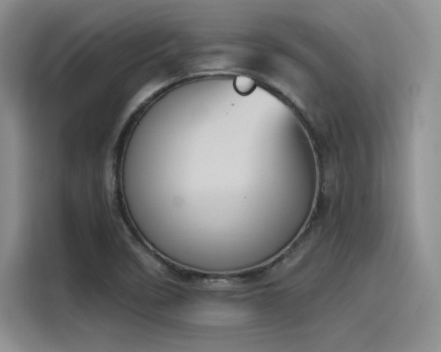 X0000114241458200910161622