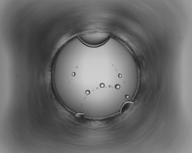 X0000114241459200910161622